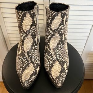 Madden Girl Dafnii Pointed Boot in Snake Print 7